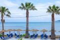 Palm trees soaring high near the beach. Wooden bonita huts and portable chairs setting up below. A tile pavement surrounds the pla