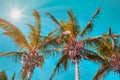 Mint green color style of palm trees against the sky and sun rays in the left corner