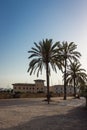 Palm trees and a spanish villa Royalty Free Stock Photo