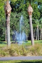 Palm trees with a spurting water spout