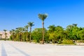Palm trees on square near the Karnak temple in Luxor, Egypt Royalty Free Stock Photo