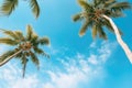 Palm Trees Against Blue Sky With Clouds Royalty Free Stock Photo