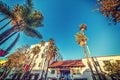 Palm trees in State Street, Santa Barbara Royalty Free Stock Photo