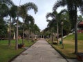 palm trees and stone pathway, Kanakakunnu palace Trivandrum, Kerala Royalty Free Stock Photo