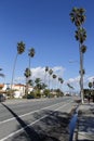 Palm trees on the street in Venice Beach, California