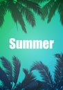 Palm trees by the summer on an abstract green blue background Royalty Free Stock Photo