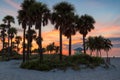 Palm trees at sunrise in Miami Beach Royalty Free Stock Photo