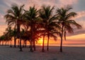 Palm trees at sunrise in Sunny tropical beach in Miami Beach Royalty Free Stock Photo