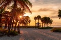 Palm trees at sunrise in Sunny tropical beach in Miami Beach Royalty Free Stock Photo