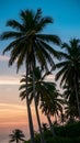 Palm trees on sunset background, tropical serenity, coastal view