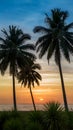 Palm trees on sunset background, tropical serenity, coastal view