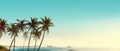 Palm trees with on sunset banner. ocean backdrop under evening sky. Summer card with copy space for text Royalty Free Stock Photo