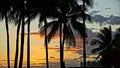 PALM TREES AT SUNSET ON BEAUTIFUL BEACH Royalty Free Stock Photo