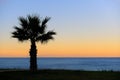 Palm trees sunset Royalty Free Stock Photo