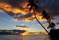 Palm Trees and Sunset, Kauai, Hawaii Royalty Free Stock Photo