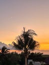 Palm Trees at Sunset near the Gulf of Mexico with orange clouds Royalty Free Stock Photo