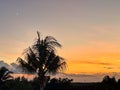 Palm Trees at Sunset near the Gulf of Mexico with orange clouds Royalty Free Stock Photo