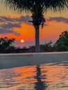 Palm Trees at Sunset near the Gulf of Mexico with orange clouds Royalty Free Stock Photo