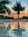 Palm Trees at Sunset near the Gulf of Mexico with orange clouds Royalty Free Stock Photo