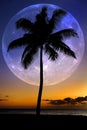 Palm Trees Sunset Near Ocean Beach Tropical Location Full Moon Royalty Free Stock Photo