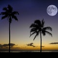 Palm Trees Sunset Near Ocean Beach Tropical Location Full Moon Royalty Free Stock Photo