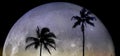 Palm Trees Sunset Near Ocean Beach Tropical Location Moon Rise Silhouette Royalty Free Stock Photo