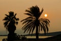 Palm trees and sunset over the Aegean sea Royalty Free Stock Photo