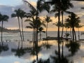 Palm trees at sunset reflecting on an infinity pool with the ocean in the background in Oahu, Hawaii Royalty Free Stock Photo