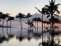 Palm trees at sunset reflecting on an infinity pool with the ocean in the background in Oahu, Hawaii Royalty Free Stock Photo