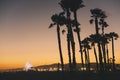 Palm Trees with Santa Monica Pier at Sunset Royalty Free Stock Photo