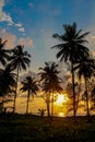 Palm trees sunset silhouette at tropical beach resort Royalty Free Stock Photo