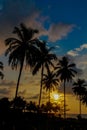 Palm trees sunset silhouette at tropical resort Royalty Free Stock Photo