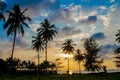 Palm trees sunset silhouette at tropical resort Royalty Free Stock Photo