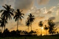 Palm trees sunset silhouette at tropical resort Royalty Free Stock Photo