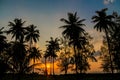 Palm trees sunset silhouette at tropical resort Royalty Free Stock Photo