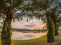 Palm trees and sunset of the sky, reflection Royalty Free Stock Photo