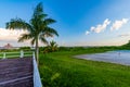 Palm Trees And Sunset On Suriname River Royalty Free Stock Photo