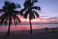 Palm Trees at Sunset on a Tropical Beach