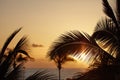 Palm trees at sunset with a twilight sky and sea across the horizon in the background with copy space in La Palma Royalty Free Stock Photo