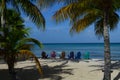 Palm Trees Surrounding Colorfully Painted Adirondak Chairs on a Royalty Free Stock Photo