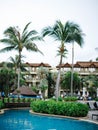 palm trees and swimming pool, jungle hotel