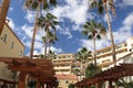 Palm trees towering in the Tenerife skies