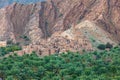 Palm trees and a traditional mountain village in Nizwa,Oman