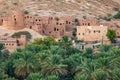 Palm trees and a traditional mountain village in Nizwa,Oman