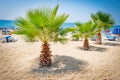 Palm trees on tropical beach of Alanya, Turkey. Summer vacation on beach Royalty Free Stock Photo