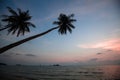 Palm trees on a tropical beach at amazing soft dusk. Nature.