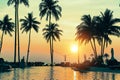 Palm trees on tropical beach Royalty Free Stock Photo