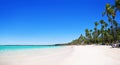 Palm trees on the tropical beach, Bavaro, Punta Cana, Dominican Royalty Free Stock Photo