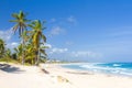 Palm trees on the tropical beach, Bavaro, Punta Cana, Dominican Royalty Free Stock Photo