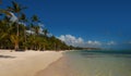 Palm trees on the tropical beach, Bavaro, Punta Cana, Dominican Royalty Free Stock Photo